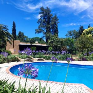 uma piscina num jardim com flores roxas em Casa Principal - El Bamboo Eventos em Arturo SeguÃ­