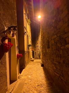 Fotografie z fotogalerie ubytování Romantic home stone with amazing view lake of Como and Oleandra v destinaci Laglio