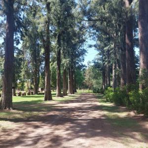 Zahrada ubytování Cabaña - El Bamboo Eventos