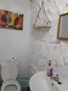 a white bathroom with a toilet and a sink at CABAÑA MISSRAÍ TROPICAL in Loma del Naranjo