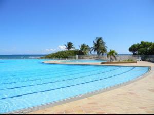 a swimming pool with blue water and palm trees at Ma Douce Guadeloupe in Saint-François