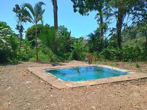 una piccola piscina d'acqua in mezzo a un campo di Casa jungla bahía Drake a Bahía Drake