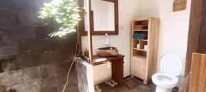 a bathroom with a toilet and a plant in it at The This-Kon Gili Meno in Gili Meno
