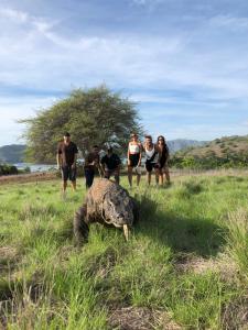 un grupo de personas de pie alrededor de una tortuga en el césped en Dua Putri Komodo Homestay, en Komodo