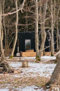 a black building in the middle of some trees at Living art piece at the lake. 