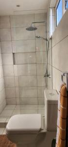a bathroom with a shower and a toilet at Phoenix Beach Apartments sea view in Flic-en-Flac