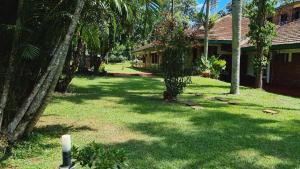 een tuin met palmbomen en een huis bij HOTEL TROPICAL IGUAZU in Puerto Iguazú