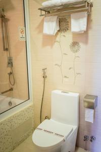 a bathroom with a toilet and a shower at ZAN Lodge in Male City