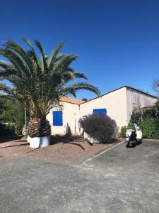 eine Palme und ein Roller, der vor einem Gebäude parkt in der Unterkunft L'Embellie au coeur du village de La Cotinière in La Cotinière + 18 Fotos