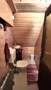 uma pequena casa de banho com WC e lavatório em Przystanek Zawadka em Zawadka