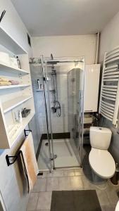 uma casa de banho com um chuveiro e um WC. em Przystanek Zawadka em Zawadka
