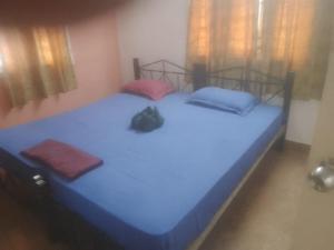- un chat dormant sur un lit bleu dans une chambre dans l'établissement Suman beach House, à Chennai