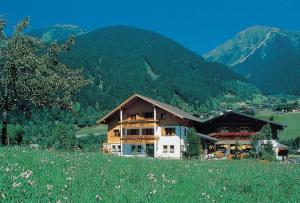 a house in a field with mountains in the background at Aparthotel Spitzer in Sankt Gallenkirch