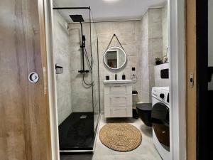 ein Bad mit einer Dusche, einem Waschbecken und einem Spiegel in der Unterkunft Studio avec parking privé et lave-linge, coeur de Fronton in Fronton