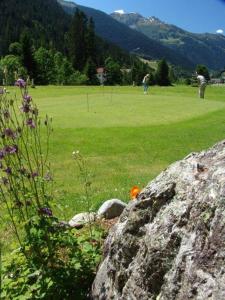 Fotografia z galérie ubytovania Aparthotel Spitzer v destinácii Sankt Gallenkirch
