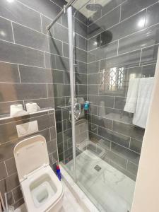 a bathroom with a shower and a toilet and a tub at Gold Flat in Accra