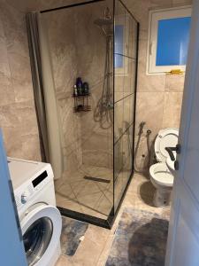 La salle de bains est pourvue d'une douche et de toilettes. dans l'établissement Apartment Eneya, à Pazarić