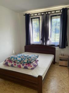 ein Bett mit zwei Kissen darauf in einem Schlafzimmer in der Unterkunft Apartment Eneya in Pazarić