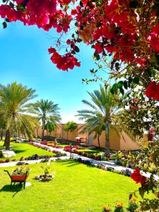 a park with a bench and palm trees and flowers at The View in Al Ḩamrāʼ