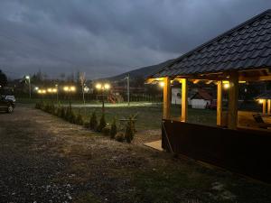 eine Reihe von Weihnachtsbäumen in einem Park in der Nacht in der Unterkunft Apartment Eneya in Pazarić