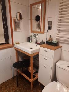 a bathroom with a sink and a toilet at zielonapogoda in Lądek-Zdrój