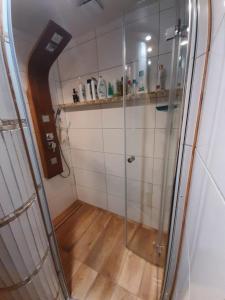 una ducha con puerta de cristal en una habitación en zielonapogoda, en Lądek-Zdrój