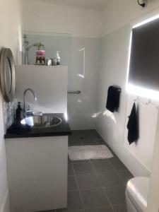 a small bathroom with a sink and a toilet at Danara Cottage in Bathurst