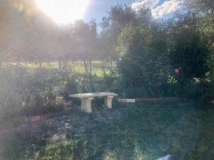 un banco sentado en el césped en un jardín en Danara Cottage, en Bathurst