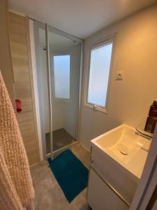a bathroom with a shower and a sink and a mirror at Saint tropez-Gassin Bungalow LUXE 6 personnes in Gassin