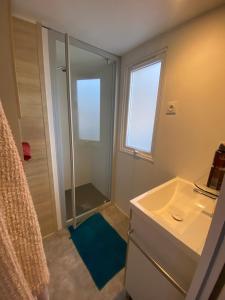 Bilik mandi di Saint tropez-Gassin Bungalow LUXE 6 personnes +22 gambar