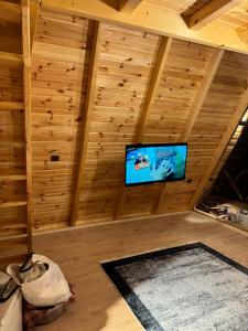Habitación con TV de pantalla plana en una pared de madera. en Sapanca Sis Vadi Bungalov en Sakarya
