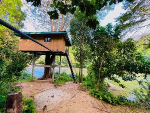 een boomhut aan de kant van een waterlichaam bij The Magical Tree House in Yatiyantota