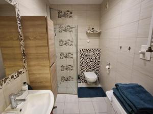 a bathroom with a toilet and a sink and a shower at Apartament morski Aquasfera in Reda