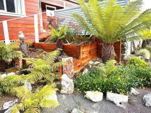 Conlan Springs Cottage外面的花园