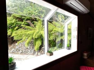 Conlan Springs Cottage外面的花园