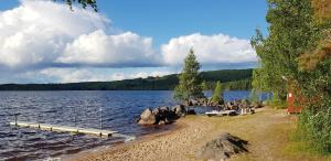 Příroda nedaleko vily