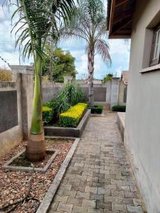 a palm tree sitting next to a brick walkway at Grey Oak Holiday House in Bulawayo