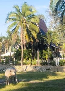 un pâturage dans l'herbe devant une maison dans l'établissement Villa Black Elephant, à Sam Roi Yot
