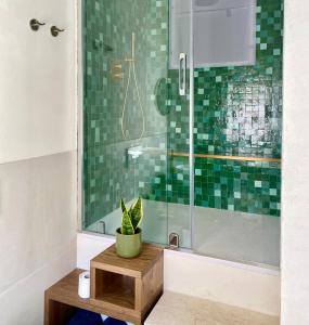 bagno con doccia e pianta in vaso di Casa 900 a Castellammare del Golfo
