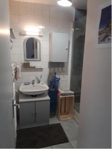 La petite salle de bains est pourvue d'un lavabo et d'une douche. dans l'établissement Grand studio sur jardin Nantes Beaujoire B, à Nantes