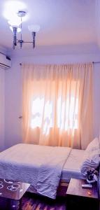 a bedroom with a bed with a curtain and a window at Gifted Apartment & Residence in Abuja