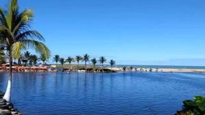 a large pool of water with palm trees and a beach at Sítio Recanto da Mata 1 suíte, 2 quartos, área de piscina, churrasco, área de jogos, campo de vôlei, lago para pesca, moenda de cana e rede para descanso in Marataizes