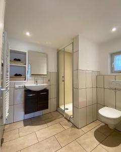 a bathroom with a toilet and a sink and a shower at St Lukas Apartments in Oberammergau