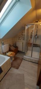 een badkamer met een douche, een toilet en een wastafel bij AnNo - Wohlfühlen am Bachal in Altschönau in Neuschönau