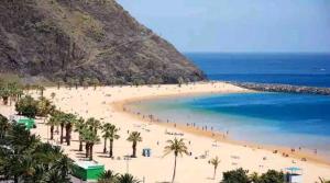 einen Strand mit Palmen und Menschen darauf in der Unterkunft Urban room in La Laguna