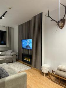 Una televisión o centro de entretenimiento en Apartamento Nordico Monte Oiz