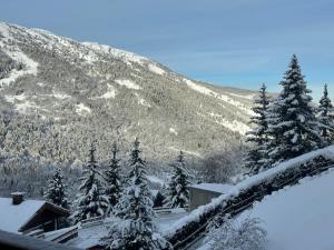 Obiekt Méribel 2 pièces avec cabine, centre, proche commerce et pistes avec parking et wifi état neuf zimą
