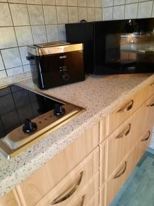 a kitchen counter with a toaster oven and a microwave at Ferienwohnung Tuchscherer in Cranzahl