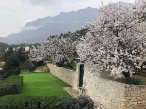 un jardín con una pared de piedra y un árbol con flores en Villa Filip Spa & Relax Makarska, en Makarska