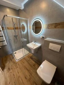 a bathroom with a shower and a toilet and a sink at Willa Sasanka in Duszniki Zdrój +54 photos